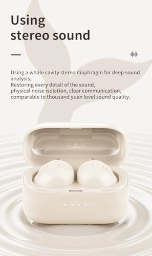 BL-08 Wireless Earbud