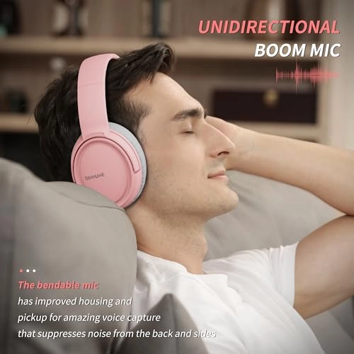 BW02-BT Wireless Headset