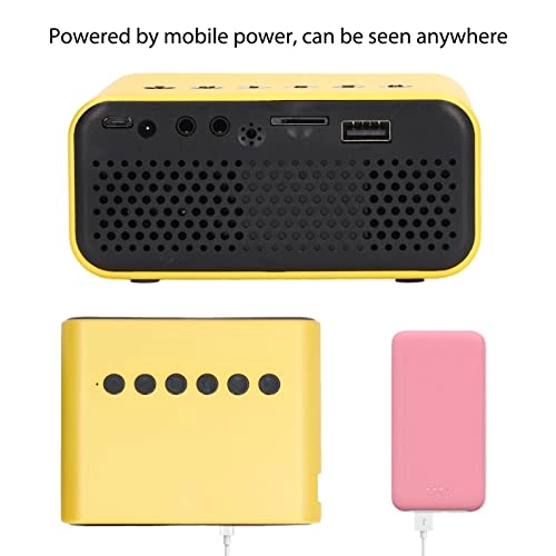 Mini Projector - 25±3 ANSI LM 320 x 240