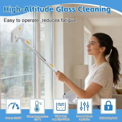 Handdampfreiniger - 3.0 bar 700 ml