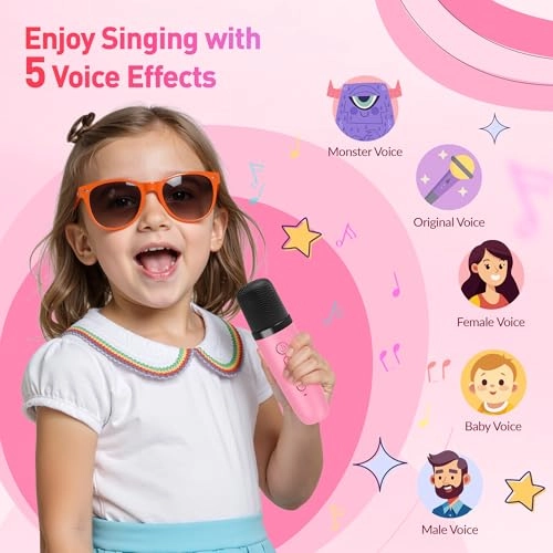 K29-L - 2 Wireless Microphones