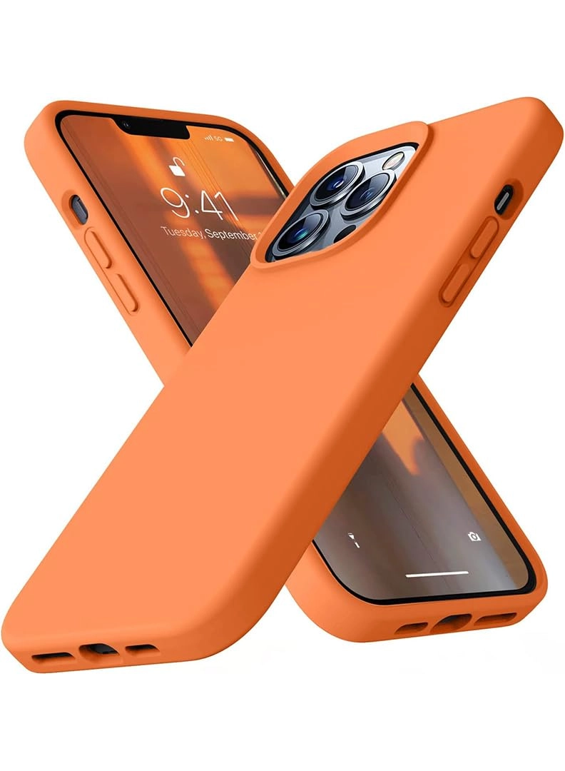 GulfDealz iPhone 13 Pro Max