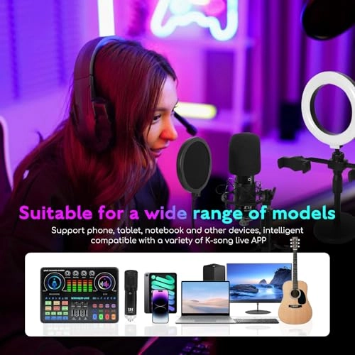 WXH520 + Dj20 USB Microphone