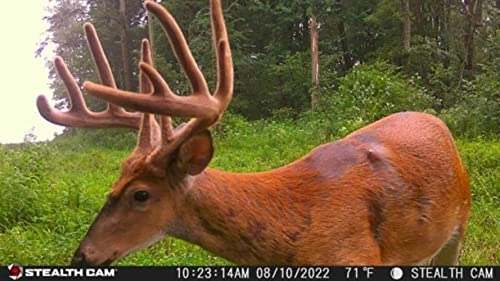 FUSION X - 26 Megapixel