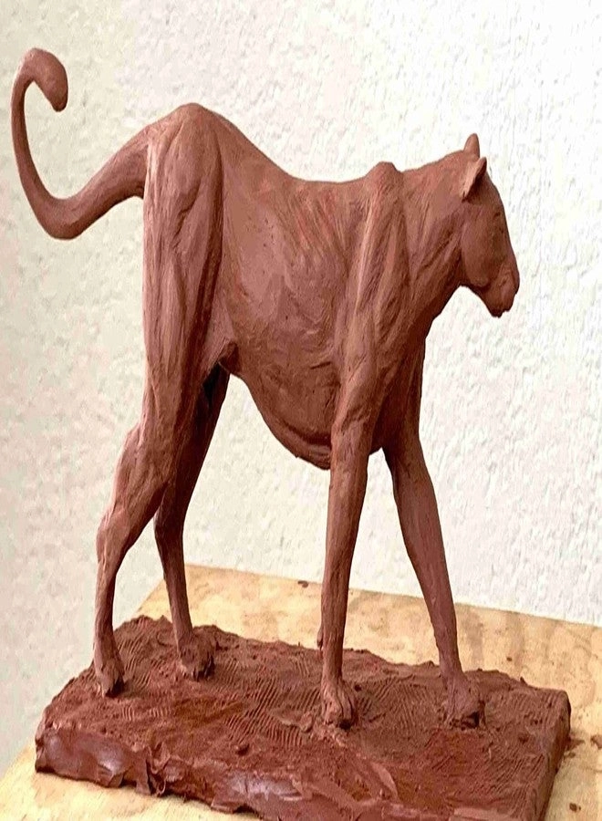 Air-Dry Modeling Clay - Shadu Clay 470g