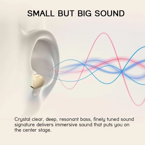 HD-CXD-BJY-X21T Wireless Earbud