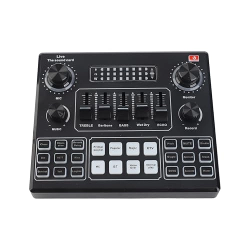 V9 + BM-800 USB Microphone