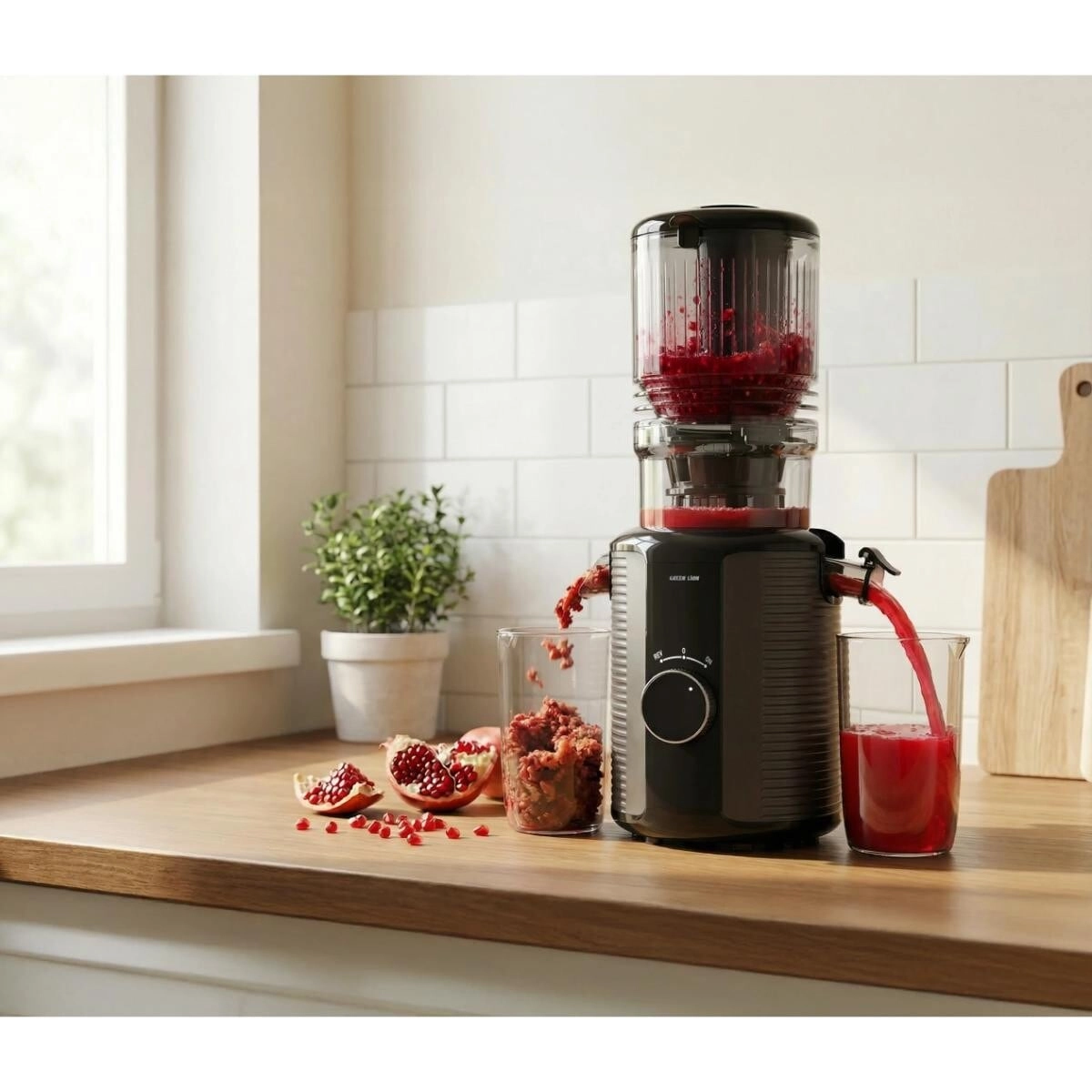 Slow Juicer