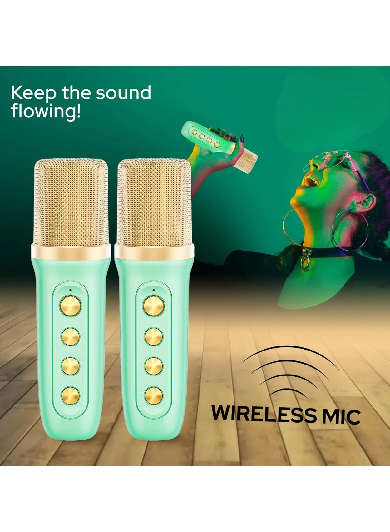 Outdoor Party Vocal Machine - 2 microphones