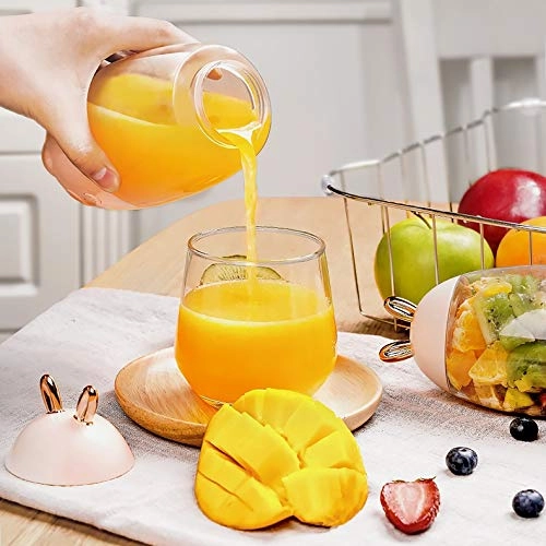 Household Juicer - 300W 600ML+300ML