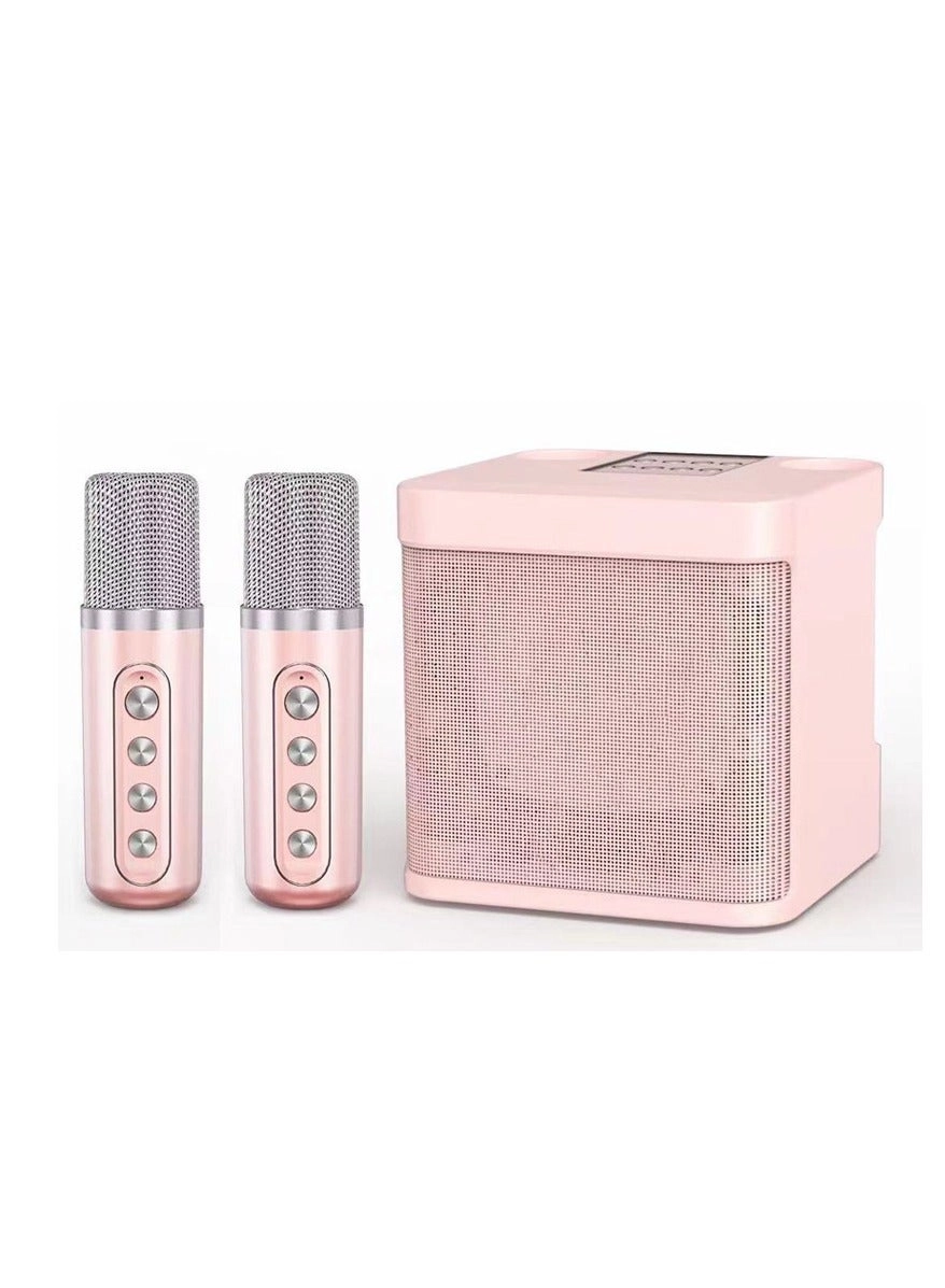 Dual Microphone Sound Package Wireless Microphone