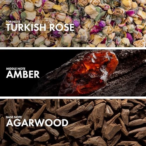 Ambery Cedar - Eau de Parfum 50ml