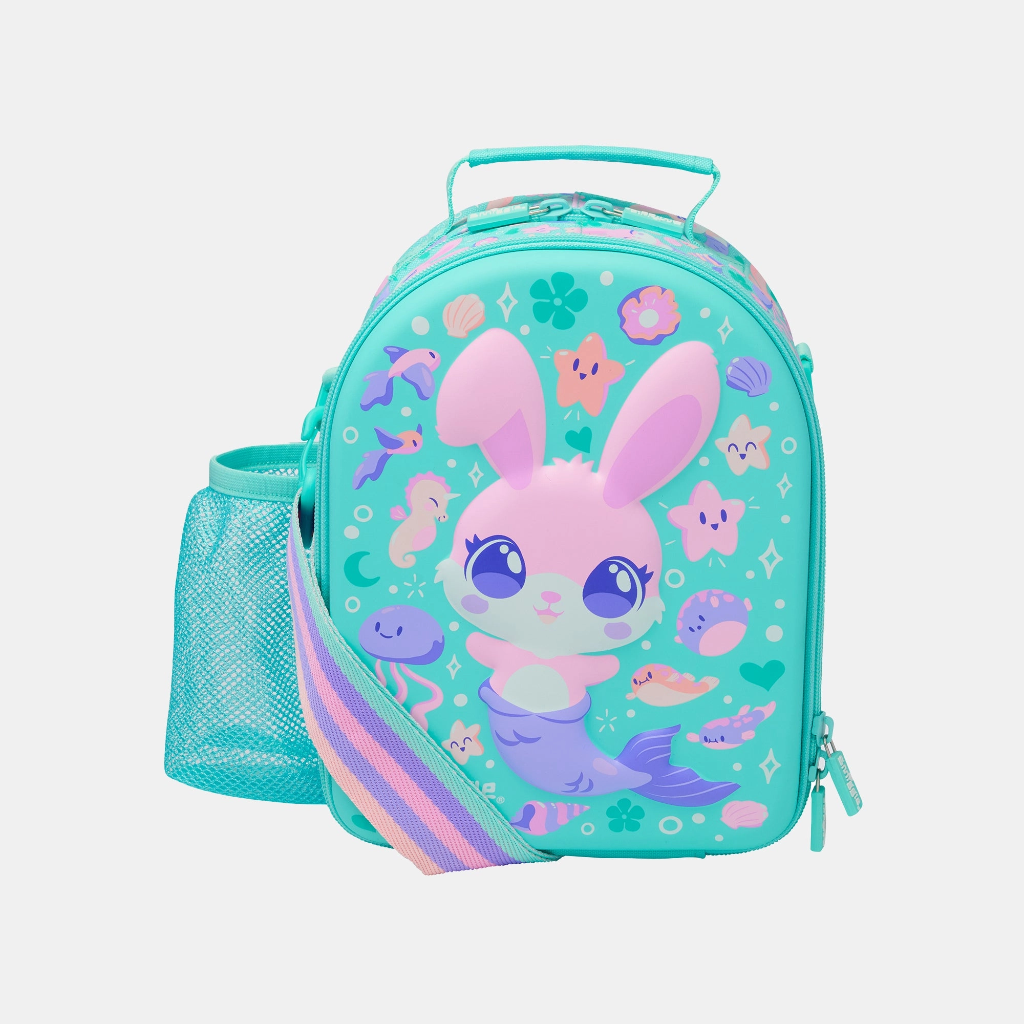 Hardtop Level Curve Lunchbox - Curious
