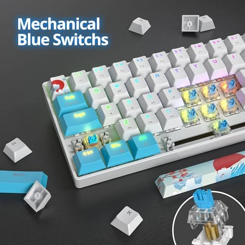 65 Percent Mechanical Gaming Keyboard - Wired