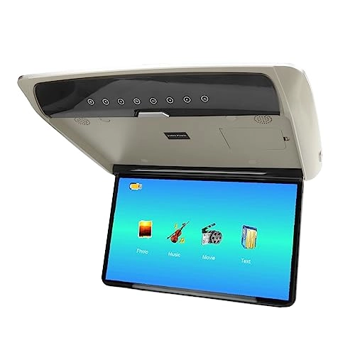 Car Overhead Player - 15.6in