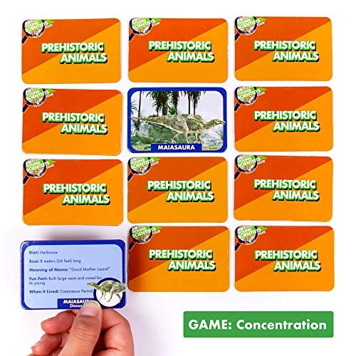 Prehistoric Animal Card Games Paleontology - 5 years+ 80 pieces