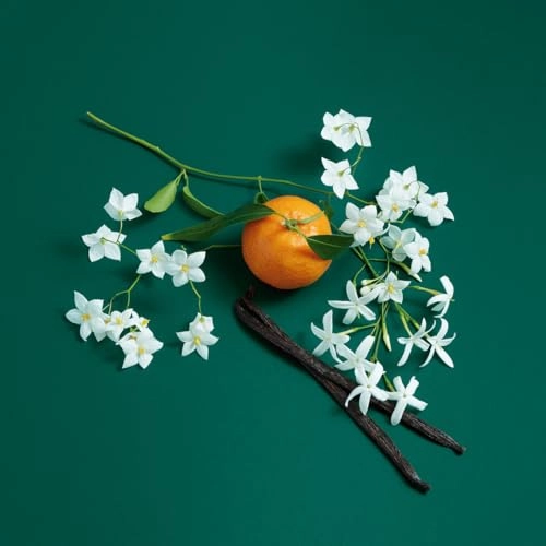 Green Jasmine - Eau de Toilette 80 ml