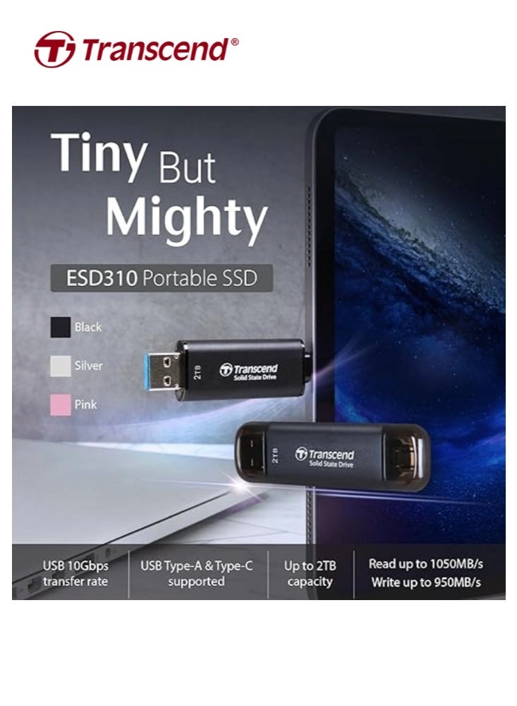 ESD310 - 2 TB
