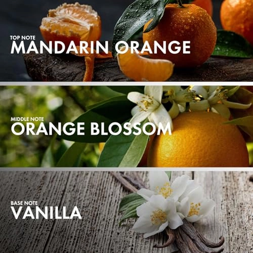 MUSKY PETALIA Eau de Parfum 50ml