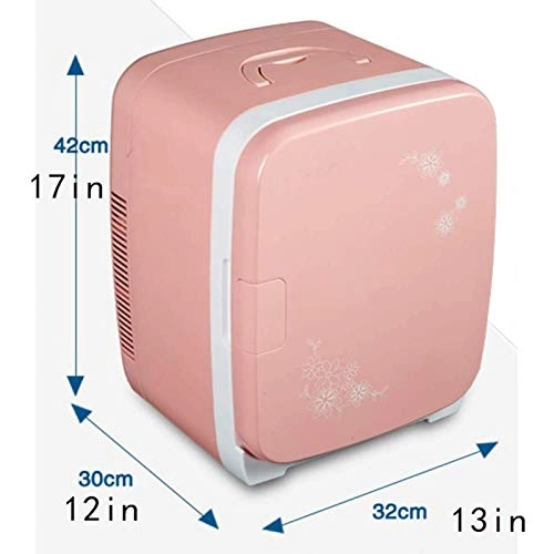 Portable Car Refrigerator - Two-purpose 12V 24V 220V