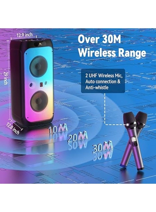 Karaoke machine - 2 wireless microphone