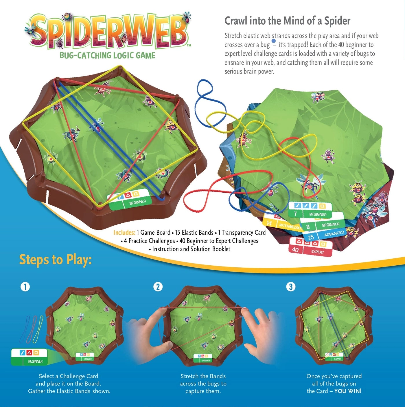 Spiderweb: A Bug Catching Logic Game
