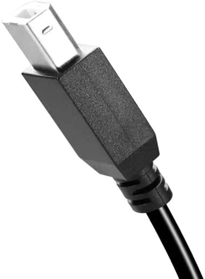 DKURVE Standard Cable Type A to Type B 1m