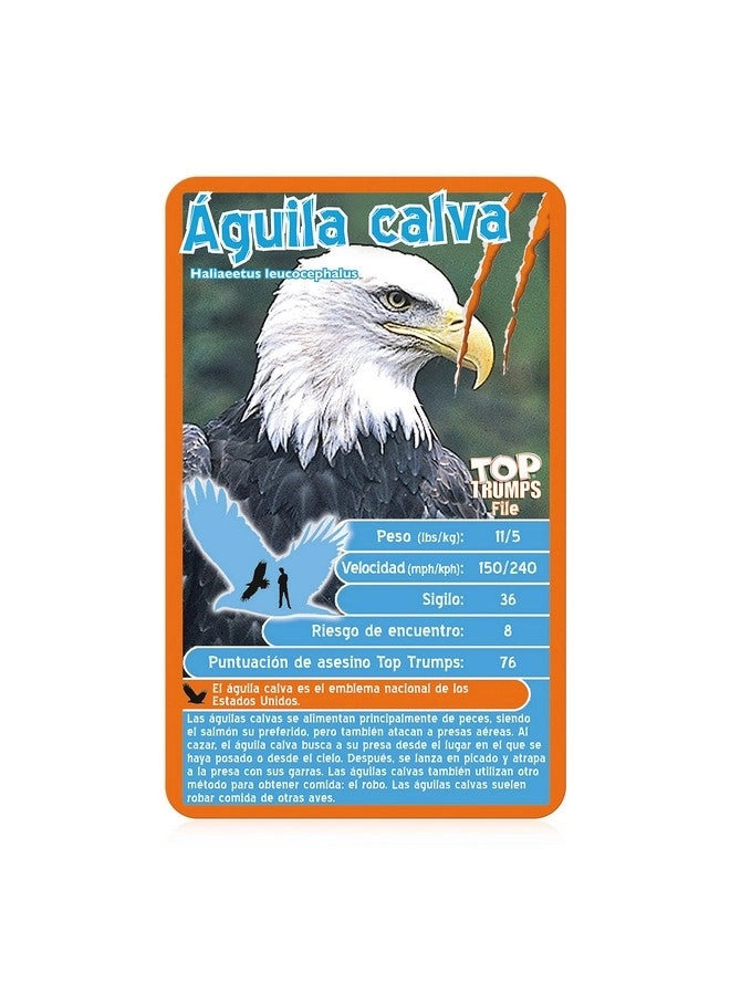 Deadliest Predators - Card Game (Spanish)