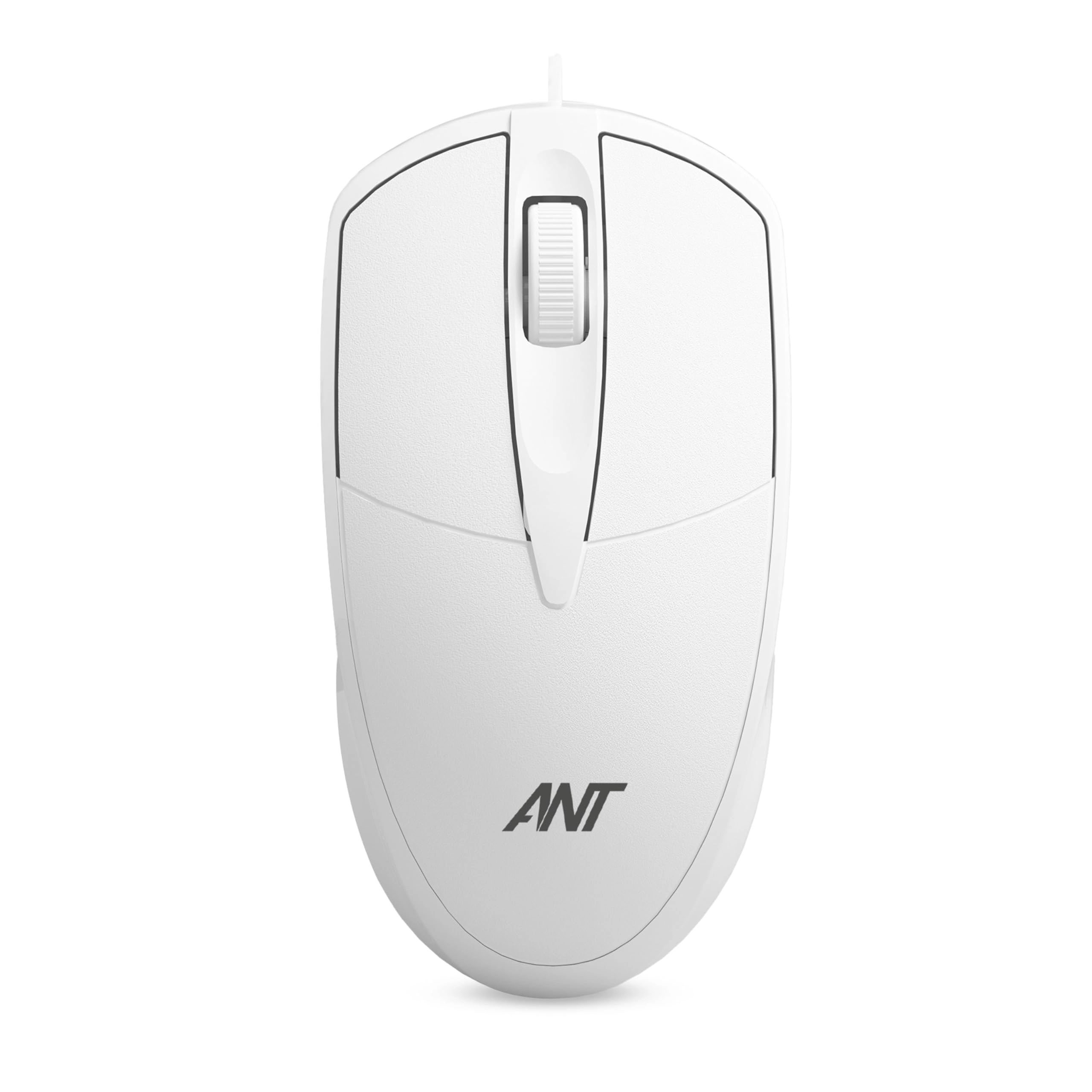 Ant Globe 10 - USB