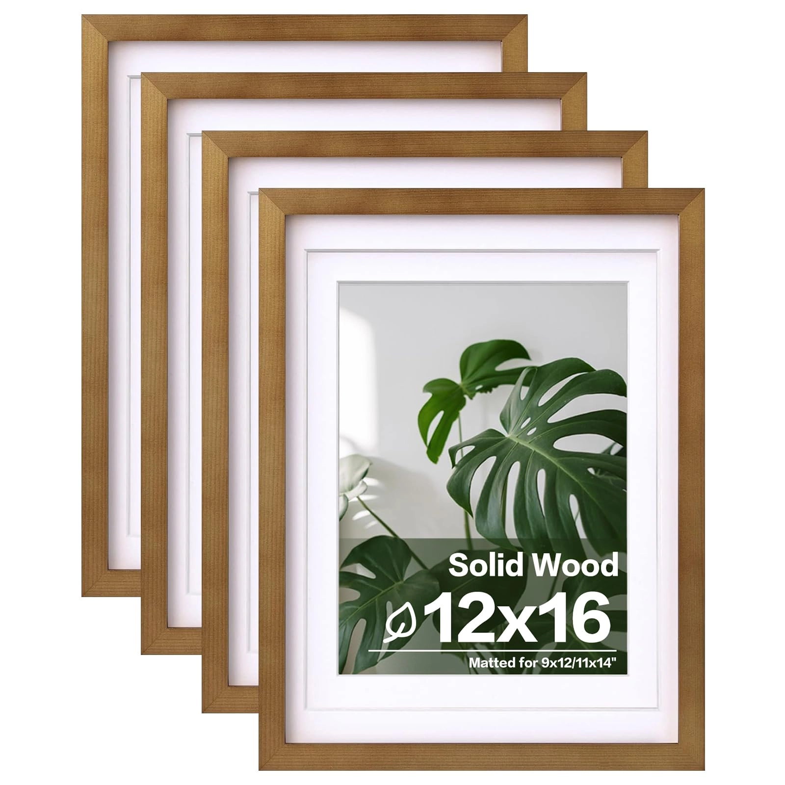 picture frames - 12x16