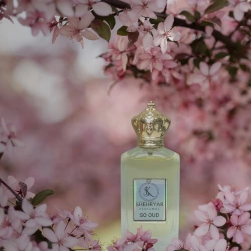 So oud Eau de Parfum 60ml