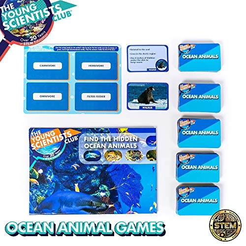 Ocean Animals Card Games - 5 years and up