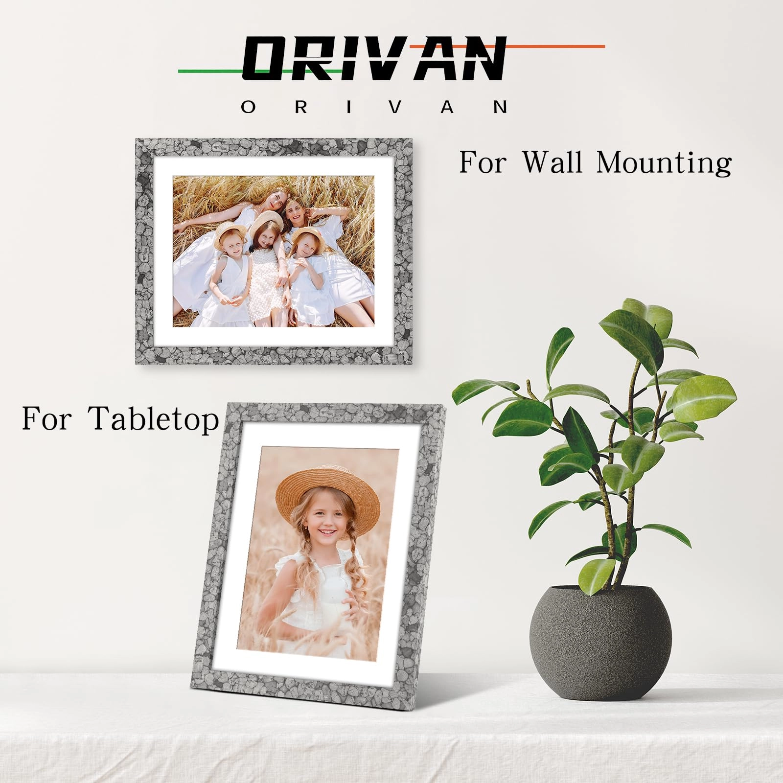Single Picture Frame - 8x10 1