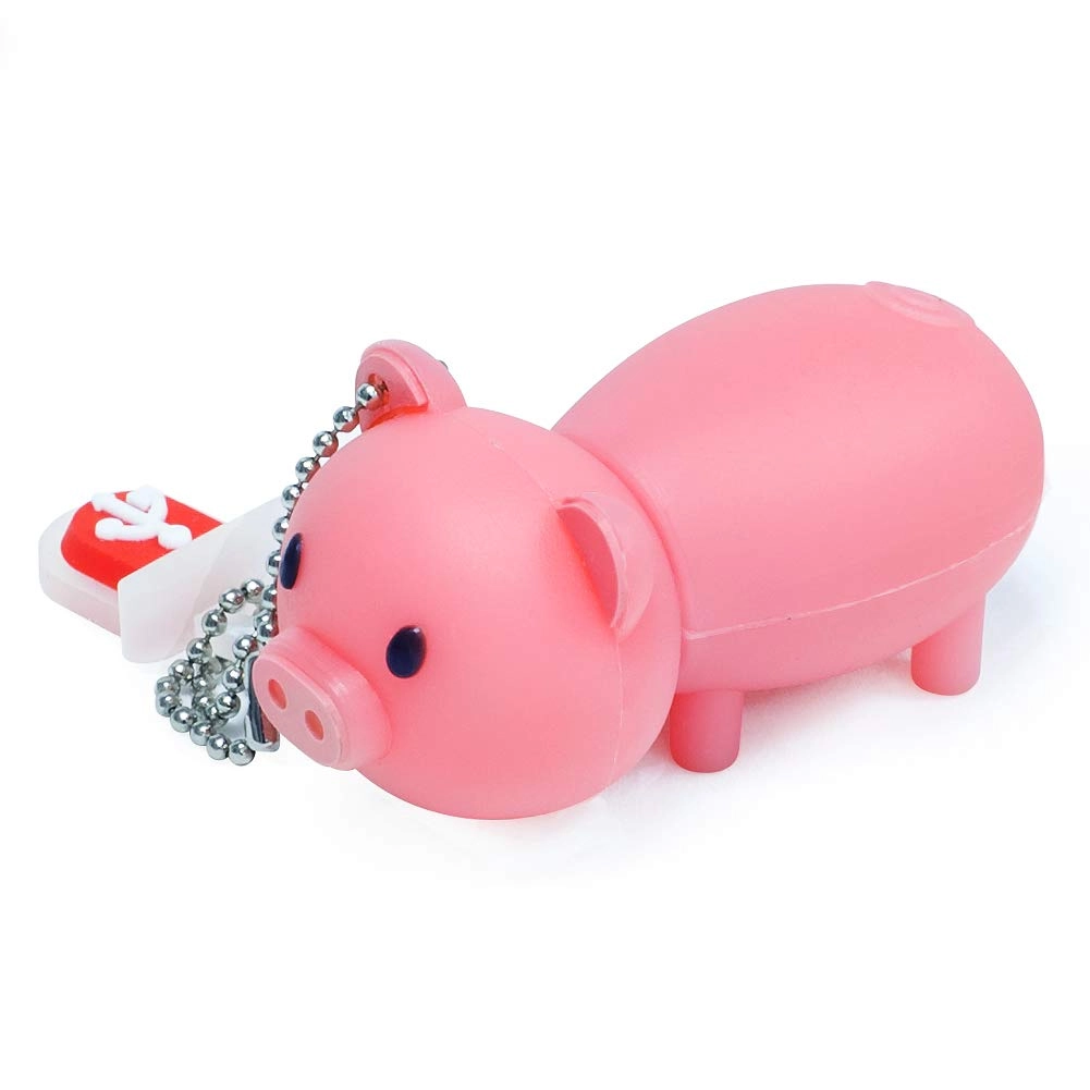 WINSTONE Pig - 16GB