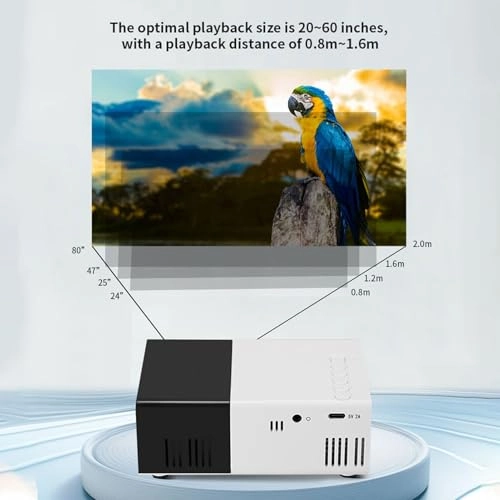 Portable Projector - 100 ANSI 1920 x 1080P