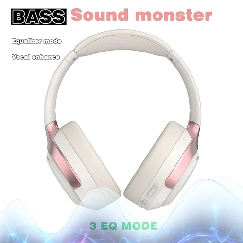 LC30Pro Wireless Headphone