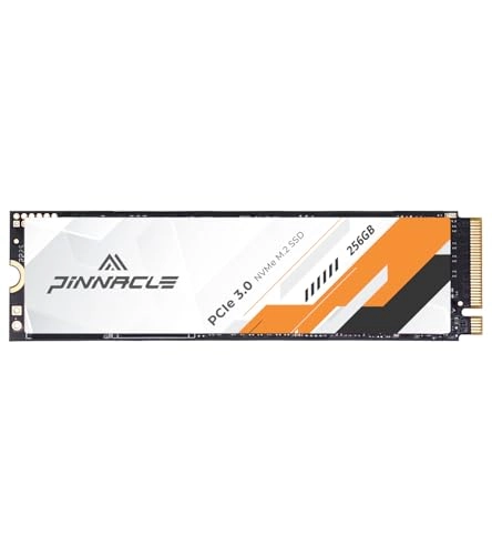 NVMe PCIe Gen3x4 - 256GB M.2 2280