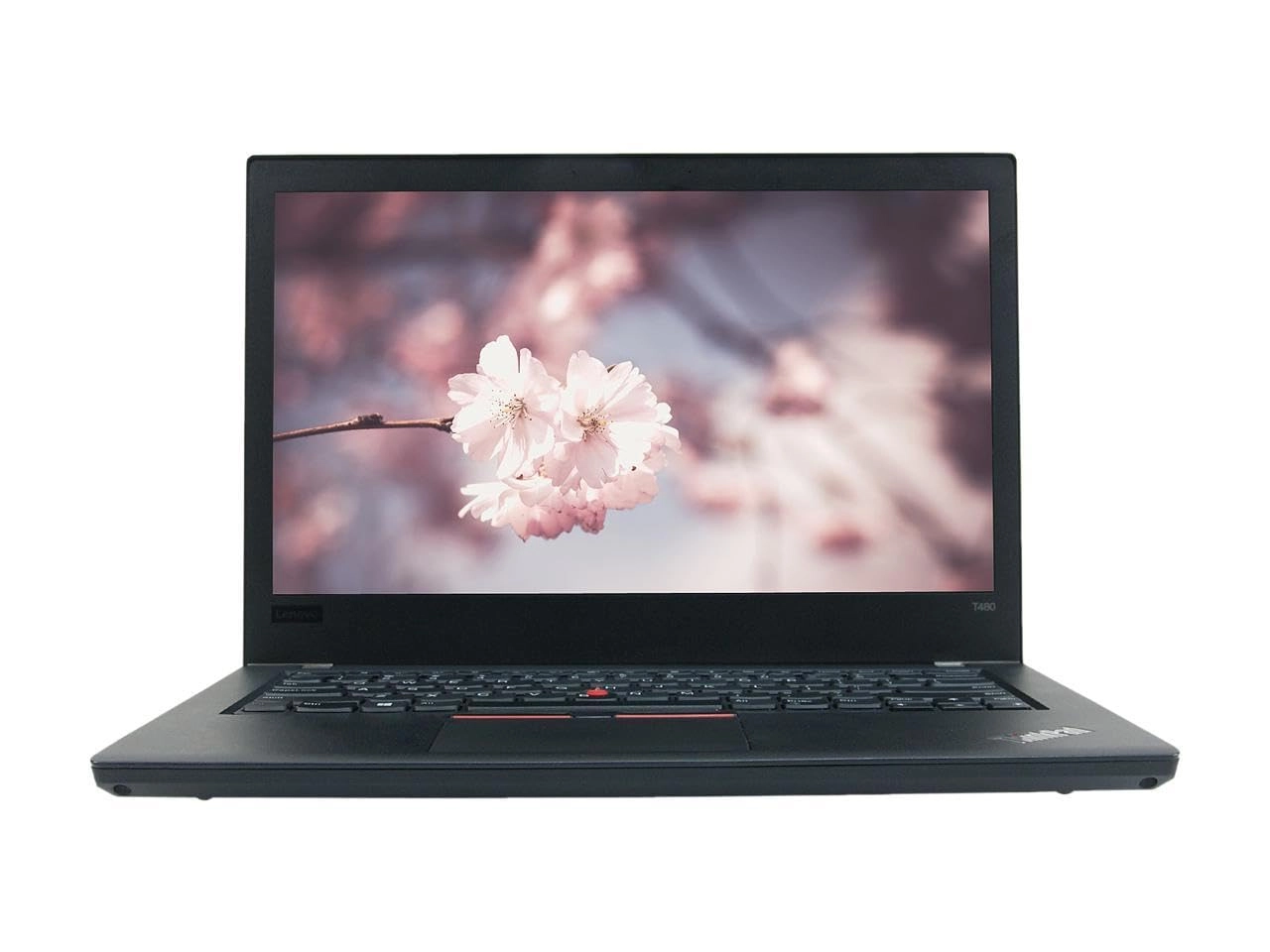 (Renewed) T480 - 14'' i5 16GB DDR4 256GB SSD