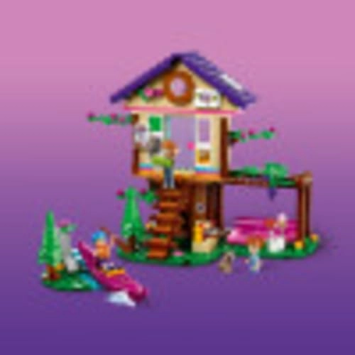 Friends Forest House (41679)