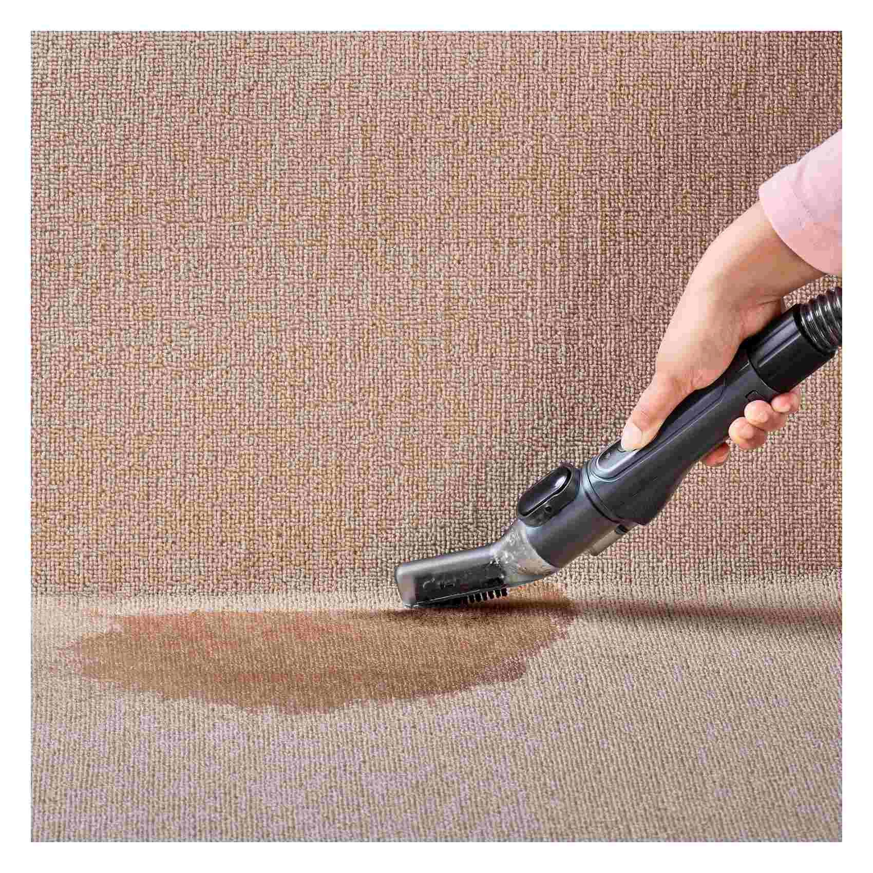 Spot Cleaner (BHSC600C-B5)