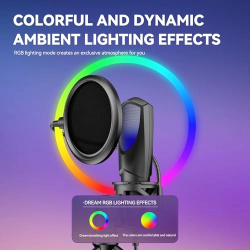 SF-777W USB+Wireless Microphone