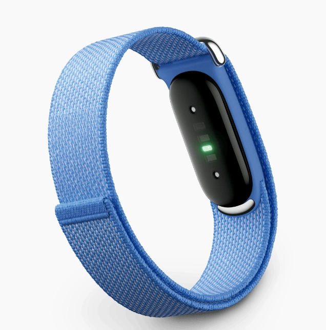Fitbit Air