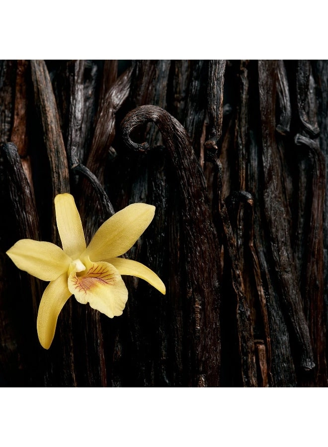 Celebrate Now Eau de Parfum 80ml