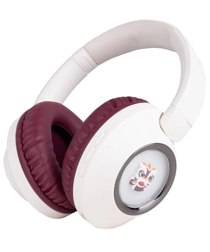 NX500 Wireless Headphone