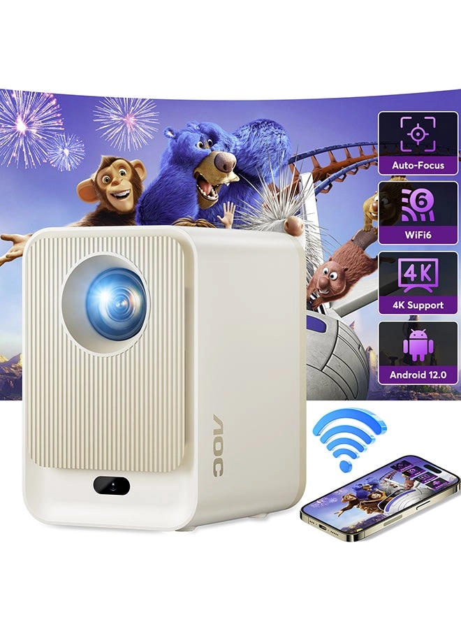 AOC XL2-211 300 ANSI 1920x1080