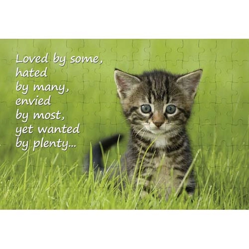 Ajooba Dubai Motivation Puzzle (2308)