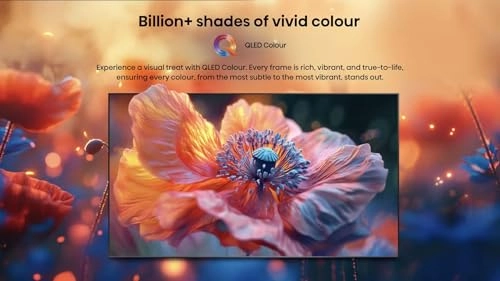 TV 58Q6Q 58"