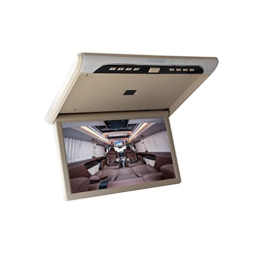 Car Ceiling Display - 19 Inch
