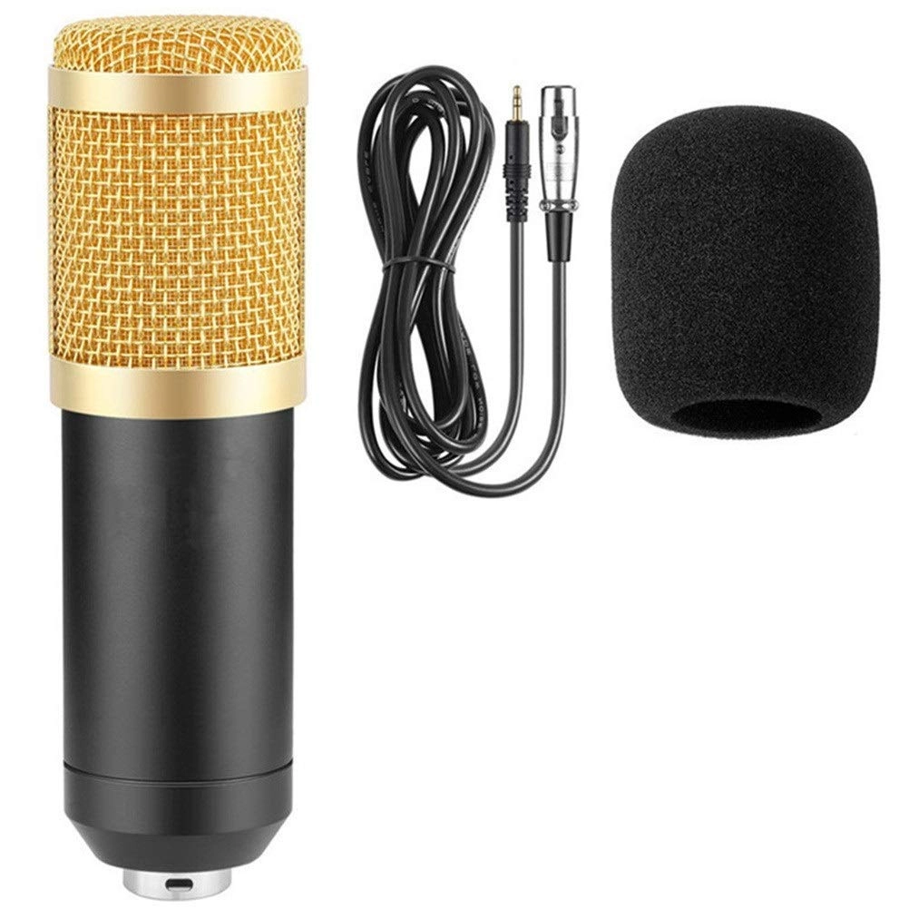BM 800 XLR Microphone