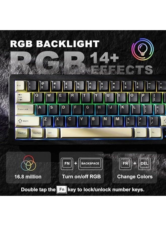 AL66 - 65% Wired/Wireless